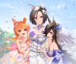  air_groove_(umamusume) animal_ears dress mayano_top_gun_(umamusume) no_bra rice_shower_(umamusume) see_through tail tsunakawa uma_musume_pretty_derby wedding_dress 