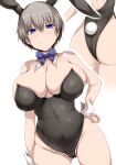  animal_ears ass bunny_ears bunny_girl cameltoe erect_nipples no_bra tsukasawa_takamatsu uzaki-chan_wa_asobi_tai! uzaki_hana 