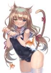  animal_ears heterochromia nekomimi school_swimsuit swimsuits tagme tail thighhighs 