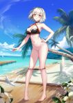  bikini fate/grand_order jeanne_d&#039;arc jeanne_d&#039;arc_(alter)_(fate) panty_pull swimsuits tagme 