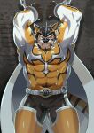  1boy absurdres animal_ears armpits bara be_(2368230) belt black_pants bodysuit bound bound_arms bulge cape covered_abs covered_navel facial_hair feet_out_of_frame furry goatee highres live_a_hero looking_at_viewer male_focus mask muscular muscular_male orange_bodysuit pants pectorals reward_available ryekie_(live_a_hero) short_hair skin_tight solo standing tail thick_thighs thighs tiger_boy tiger_ears tiger_tail white_cape 