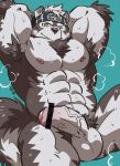  1boy abs animal_ears arms_behind_head bar_censor bara breath censored chest_hair completely_nude erection foreskin furry grey_fur grey_hair headband highres horkeu_kamui_(tokyo_houkago_summoners) kirupi large_pectorals large_penis looking_at_viewer male_focus male_pubic_hair muscular muscular_male navel navel_hair nipples nude one_eye_closed pectorals penis precum pubic_hair short_hair silver_hair solo spread_legs stomach tail thick_thighs thighs tokyo_houkago_summoners two-tone_fur veins veiny_penis white_fur wolf_boy wolf_ears wolf_tail yellow_eyes 