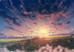  abisswalker8 blurry blurry_foreground cloud cloudy_sky commentary field flower grass highres horizon no_humans original outdoors plain rock scenery sky star_(sky) sunlight sunrise white_flower yellow_flower yellow_sky 