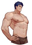  1boy abs bara blue_hair boxers brown_male_underwear bulge cropped_legs fire_emblem fire_emblem:_the_blazing_blade groin hand_on_hip hector_(fire_emblem) highres large_pectorals male_focus male_underwear muscular muscular_male my_eight navel nipples pectorals short_hair sideburns smile solo stomach underwear underwear_only white_background 