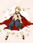  1girl androgynous antennae bangs black_cape black_footwear blue_shorts cape collared_shirt commentary_request dutch_angle eyebrows_visible_through_hair flat_chest flower green_eyes green_hair hair_between_eyes highres izari looking_at_viewer red_cape shirt shoes short_hair shorts socks solo touhou two-sided_cape two-sided_fabric white_flower white_legwear white_shirt wriggle_day wriggle_nightbug 
