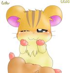  curby hamtaro sandy tagme 