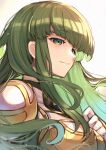  1girl armor bangs closed_mouth fire_emblem fire_emblem:_mystery_of_the_emblem fire_emblem_echoes:_shadows_of_valentia green_eyes green_hair hand_on_own_chest highres long_hair looking_at_viewer nakabayashi_zun palla_(fire_emblem) shoulder_armor simple_background smile upper_body white_background 