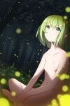  1girl antennae bangs blurry breasts collarbone completely_nude depth_of_field dutch_angle expressionless eyebrows_visible_through_hair fireflies forest green_eyes green_hair hair_between_eyes highres indian_style looking_up nature navel night nipples nude outdoors ri-el short_hair sitting small_breasts solo touhou tree wriggle_day wriggle_nightbug 