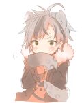  1boy ahoge animal_ear_fluff animal_ears bangs biting black_hair black_jacket blush brown_eyes brown_shirt eyebrows_visible_through_hair fang grey_hair jacket kamiyoshi_rika kemonomimi_mode long_sleeves looking_at_viewer male_focus multicolored_hair nijisanji open_clothes open_jacket parted_bangs shirt simple_background sleeves_past_wrists solo streaked_hair suzuki_masaru sweat tail tail_biting tail_raised upper_body v-shaped_eyebrows virtual_youtuber white_background 