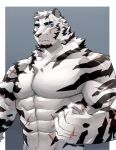  1boy abs animal_ears arknights bara chest_hair completely_nude fluffy furry highres kenjilo_(kenjilokung) large_pectorals looking_at_viewer male_focus mountain_(arknights) muscular muscular_male navel navel_hair nipples no_nipples nude pectorals scar scar_across_eye scar_on_arm scar_on_stomach short_hair solo stomach tiger_boy tiger_ears upper_body white_fur white_hair 