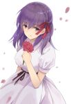  1girl bangs breasts closed_mouth commentary_request dress fate/stay_night fate_(series) flower hair_ribbon hand_up holding holding_flower large_breasts looking_at_viewer matou_sakura medium_hair official_alternate_costume petals puffy_short_sleeves puffy_sleeves purple_eyes purple_hair red_ribbon ribbon short_sleeves simple_background solo tama_(05728) upper_body white_background white_dress 
