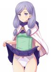  1girl bow bow_panties breasts cape cowboy_shot fire_emblem fire_emblem:_path_of_radiance fire_emblem:_radiant_dawn green_shirt hood hood_down ilyana_(fire_emblem) katou_kaiou lifted_by_self looking_at_viewer panties parted_lips pink_cape pleated_skirt purple_eyes purple_hair purple_panties purple_skirt shirt simple_background skirt small_breasts solo thigh_gap twintails underwear upskirt white_background white_panties 