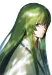  1other androgynous fate/grand_order fate_(series) green_hair highres kingu_(fate) long_hair looking_at_viewer mosako purple_eyes sidelocks smile solo upper_body white_robe 