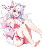  1girl :d aina_rive animal_ear_fluff animal_ears armpits ass bare_shoulders barefoot bikini blue_eyes breasts cat_ears cat_girl cat_tail choker cleavage frilled_bikini frills hair_ribbon halterneck hands_up heterochromia jacket knees_up long_hair looking_at_viewer mauve medium_breasts off_shoulder open_clothes open_jacket open_mouth original pink_jacket red_bikini red_choker ribbon simple_background smile solo string_bikini swimsuit tail thigh_strap thighs v white_background white_hair yellow_eyes 