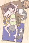  1girl animal_on_arm arms_up barefoot bowl brown_hair cat closed_eyes commentary cushion from_above green_shirt green_shorts hair_ornament lying midriff navel on_back open_mouth pajamas senbei shirt short_hair short_twintails shorts sleeping spaghetti_strap tasuke touhoku_kiritan twintails voiceroid wooden_floor 