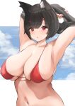  1girl :o absurdres animal_ear_fluff animal_ears armpits arms_behind_head arms_up azur_lane bangs bare_shoulders bikini black_hair black_shirt blue_sky blush breasts cat_ears cleavage clothes_lift cloud collarbone commentary eyebrows_visible_through_hair fang hair_between_eyes halter_top halterneck highres large_breasts letterboxed looking_at_viewer navel neneneji outdoors outside_border parted_lips red_bikini red_eyes shirt shirt_lift short_hair skindentation sky solo stomach string_bikini swimsuit undressing upper_body yamashiro_(azur_lane) 