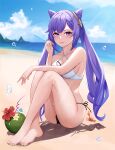  1girl absurdres coconut crab dintea double_bun genshin_impact highres keqing_(genshin_impact) purple_eyes purple_hair solo twintails 