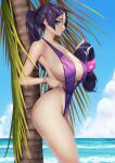  1girl aircraft airplane beach blue_sky blueorca bracelet breasts cloud collarbone day fate/grand_order fate_(series) hair_ornament highres jewelry large_breasts lips long_hair looking_at_viewer minamoto_no_raikou_(fate) ocean outdoors palm_tree ponytail purple_eyes purple_hair purple_swimsuit sky slingshot_swimsuit smile solo standing swimsuit thighs tree 