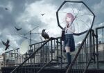  1girl absurdres air_conditioner antenna_hair bag bird braid building cloud cloudy_sky collared_shirt crow expressionless full_body highres kaf_(kamitsubaki_studio) kamitsubaki_studio kneehighs loafers low_twin_braids multicolored multicolored_eyes neck_ribbon overcast pink_hair railing red_ribbon ribbon rooftop satellite_dish school_bag school_uniform shirt shoes shoulder_bag skirt sky transparent transparent_umbrella twin_braids umbrella virtual_youtuber white_shirt winter_parasol yellow_pupils 
