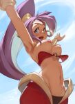  1girl arms_up blue_eyes blush breasts dancer dark_skin earrings hair_ornament harem_pants high_ponytail highres hoop_earrings jewelry kasseus_maximus long_hair navel open_mouth pants ponytail purple_hair shantae_(character) shantae_(series) solo toned very_long_hair 