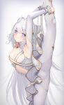  +_+ 1girl arm_garter armpits azur_lane bird blush breasts chick clothing_cutout double_bun dress frown highres le_malin_(azur_lane) le_malin_(muse)_(azur_lane) leg_up long_hair official_alternate_costume silver_hair small_breasts solaris_(sinhyg) solo stomach tutu very_long_hair white_dress 