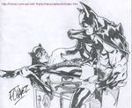  batman catwoman dc frank_chavez tagme 