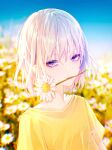  1girl absurdres bangs blurry blurry_background daisy eyebrows_behind_hair eyeshadow flat_chest flower hair_behind_ear highres in_mouth looking_at_viewer makeup nao_ri original purple_eyes red_eyeshadow shirt short_hair signature silver_hair sky solo upper_body white_flower yellow_shirt 