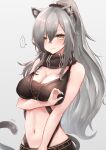  ... 1girl absurdres animal_ears arknights bangs bare_arms bare_shoulders black_scarf blush breasts cat_ears cat_tail cleavage commentary_request crop_top grey_background hair_between_eyes highres large_breasts long_hair looking_at_viewer midriff navel partial_commentary scarf schwarz_(arknights) silver_hair simple_background sleeveless solo spoken_ellipsis srn_ana stomach tail upper_body very_long_hair yellow_eyes 