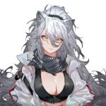  1girl animal_ears arknights bangs black_scarf breasts cat_ears cleavage crop_top hair_between_eyes jacket large_breasts long_hair messy_hair open_clothes open_jacket ponytail scarf schwarz_(arknights) silver_hair sola7764 solo upper_body white_background yellow_eyes 
