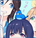  3girls animal bangs bird black_hair blonde_hair blue_eyes blue_hair bluebird closed_mouth green_eyes hair_ribbon hibike!_euphonium index_finger_raised kasaki_nozomi liz_to_aoi_tori long_hair looking_at_another multiple_girls open_mouth ponytail red_eyes ribbon simple_background sleeping yellow_ribbon yoroizuka_mizore yoshikawa_yuuko yuuyu_(777) 