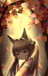 1girl absurdres amagi-chan_(azur_lane) animal_ears armpit_peek autumn autumn_leaves azur_lane bangs black_hair blunt_bangs commentary_request eyebrows_visible_through_hair fox_ears from_side head_tilt highres leaf long_hair looking_at_viewer looking_to_the_side maple_leaf n_(527959851) off-shoulder_kimono off_shoulder rope shimenawa sidelocks silver_eyes solo tree tree_branch twintails 