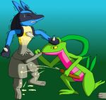  grovyle lucario pokemon tagme 