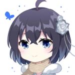  1girl antenna_hair bangs blue_butterfly blue_eyes blue_hair bug butterfly closed_mouth flower gou_lianlian_dogface hair_between_eyes hair_flower hair_ornament honkai_(series) honkai_impact_3rd insect looking_at_viewer scarf seele_vollerei short_hair simple_background smile solo white_background white_flower 