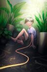  1boy animal bare_legs barefoot black_hair black_shorts collar dutch_angle feet grey_eyes highres leaf leash miniboy mouse original plant potted_plant sasakure_(mogunonbi) shirt short_hair short_sleeves shorts sitting soles solo toes white_shirt wide_shot 