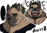  1boy animal_ears bara brown_fur crying crying_with_eyes_open empty_eyes expressions face fangs fox_boy fox_ears furry green_eyes highres injury looking_at_viewer male_focus pectorals scar scar_on_cheek scar_on_face short_hair tears tokyo_houkago_summoners translation_request tt_(ptcmtr) yasuyori_(tokyo_houkago_summoners) 