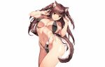  aliasing animal_ears bikini breasts brown_eyes brown_hair long_hair original saburou_(hgmg) swimsuit tail twintails white 