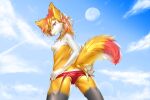  1girl absurdres aircraft airplane ancesra animal_ear_fluff animal_ears animal_nose artist_name ass back bangs black_fur blonde_hair blue_sky body_fur braixen breasts butt_crack cameltoe clothes_pull cloud condensation_trail cowboy_shot day flower fox_ears fox_girl fox_tail from_behind furry gen_6_pokemon hair_flower hair_ornament half-closed_eyes happy highres legs_apart lens_flare looking_at_viewer looking_back medium_hair moon multicolored_hair nipples one-piece_swimsuit orange_hair outdoors parted_lips patreon_username pokemon pokemon_(creature) red_flower red_hair red_swimsuit shiny shiny_clothes shiny_hair shiny_skin sky small_breasts smile snout solo standing streaked_hair swimsuit swimsuit_pull tail teeth topless watermark web_address white_fur yellow_fur 