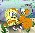  annie-mae sandy_cheeks spongebob_squarepants tagme 