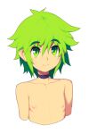  1girl bangs black_choker choker cropped_torso eyebrows_visible_through_hair flat_chest green_eyes green_hair looking_at_viewer metata nipples original shadow short_hair simple_background smile solo topless white_background 