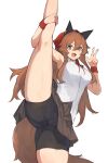  animal_ears bike_shorts lansane skirt_lift tagme tail 