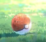  blurry day depth_of_field grass no_humans outdoors poke_ball poke_ball_(basic) pokemon shiny still_life zukki_(suzukio) 
