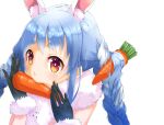  1girl animal_ear_fluff animal_ears bangs black_gloves blue_hair braid bunny-shaped_pupils bunny_ears carrot_hair_ornament extra_ears food-themed_hair_ornament fur-trimmed_gloves fur_scarf fur_trim gloves hair_ornament highres hikimayu hololive long_hair looking_at_viewer mouth_hold multicolored_hair orange_eyes portrait rabbit_girl scarf short_eyebrows simple_background solo swept_bangs thick_eyebrows twin_braids twintails two-tone_hair usada_pekora virtual_youtuber white_background white_hair white_scarf xxxx 