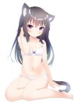  &gt;:( 1girl animal_ear_fluff animal_ears black_hair bra breasts cat_ears cat_girl cat_tail full_body long_hair original panties purple_eyes simple_background sitting small_breasts tail umi_suzume underwear underwear_only v-shaped_eyebrows white_background white_bra white_panties yokozuwari 