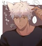  ... 1boy animal_ears archer_(fate) bangs black_shirt brown_background brown_eyes cat_ears collarbone commentary_request dark-skinned_male dark_skin fang fang_out fate/stay_night fate_(series) grey_hair hand_up highres kemonomimi_mode looking_at_viewer male_focus paw_print portrait shimatori_(sanyyyy) shiny shiny_hair shirt short_hair simple_background spoken_ellipsis sweatdrop translation_request white_background 