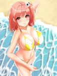  bikini dead_or_alive honoka_(doa) swimsuits vik 