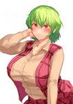  1girl bangs beige_shirt blush breasts closed_mouth collarbone eyebrows_behind_hair green_hair hair_between_eyes hand_up kazami_yuuka large_breasts long_sleeves open_clothes open_vest plaid plaid_skirt plaid_vest red_eyes sadahiro_(chicken_nugget_gyuuniku_aji) short_hair simple_background skirt smile solo touhou unbuttoned upper_body vest white_background 