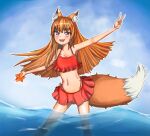  animal_ears holo spice_and_wolf swimsuits tagme tail 