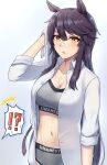  !? 1girl animal_ears bandaid bandaid_on_nose bangs black_hair blush breasts cleavage collarbone exren eyebrows_visible_through_hair grey_background grey_sports_bra highres horse_ears horse_girl large_breasts long_hair long_sleeves looking_at_viewer narita_brian_(umamusume) navel open_clothes parted_lips shirt simple_background solo sports_bra sportswear towel umamusume unbuttoned white_shirt yellow_eyes 