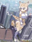  1girl absurdres animal_ears animal_print bare_shoulders blush bow bowtie cat_(kemono_friends) cat_ears cat_girl cat_print cat_tail city commentary_request elbow_gloves eyebrows_visible_through_hair giant gloves high-waist_skirt highres iwa_(iwafish) kemono_friends light_brown_hair multicolored_hair print_gloves print_legwear print_neckwear print_skirt shirt shoes short_hair skirt sleeveless sneakers solo tail thighhighs white_hair white_shirt yellow_eyes zettai_ryouiki 