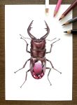  abe_yuichiro animal_focus beetle bug colored_pencil_(medium) commentary_request highres insect original photo_(medium) ruby_(gemstone) shadow simple_background stag_beetle traditional_media white_background 